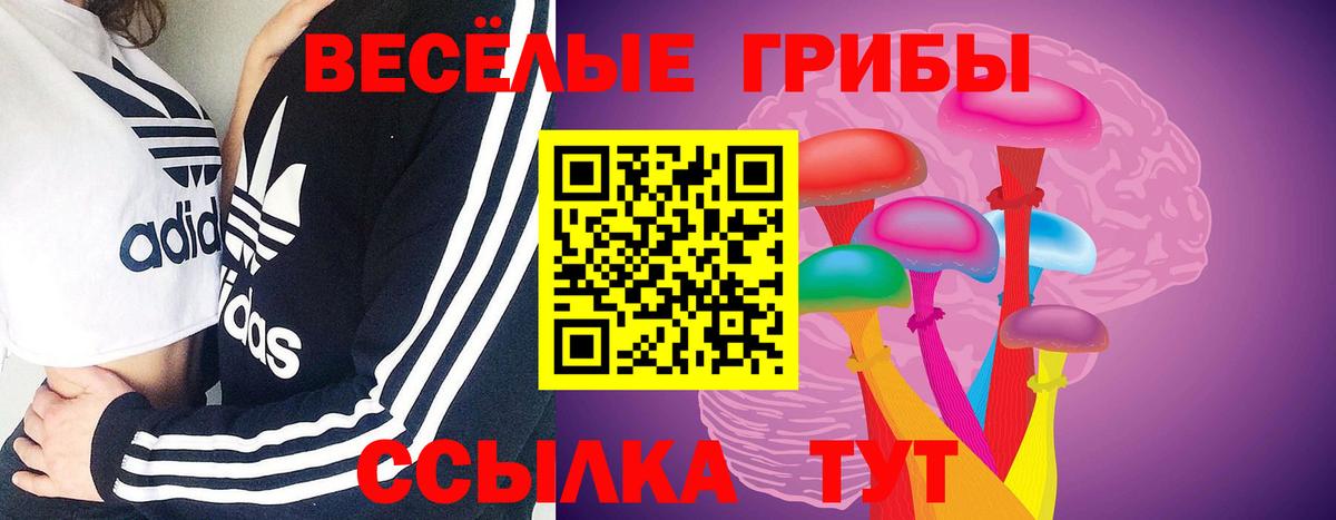 Псилоцибиновые грибы MAGIC MUSHROOMS  Вход с VPN  Кемерово 
